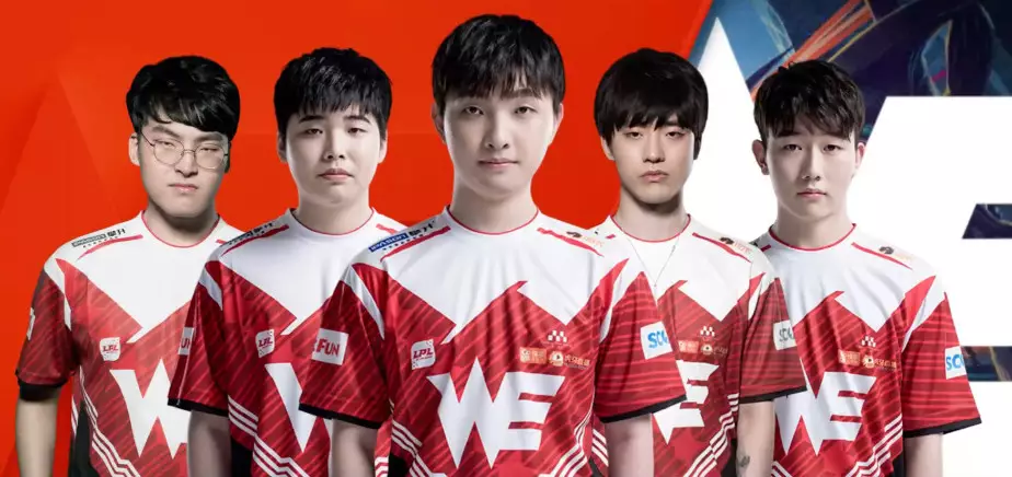 款的细节 款的细节