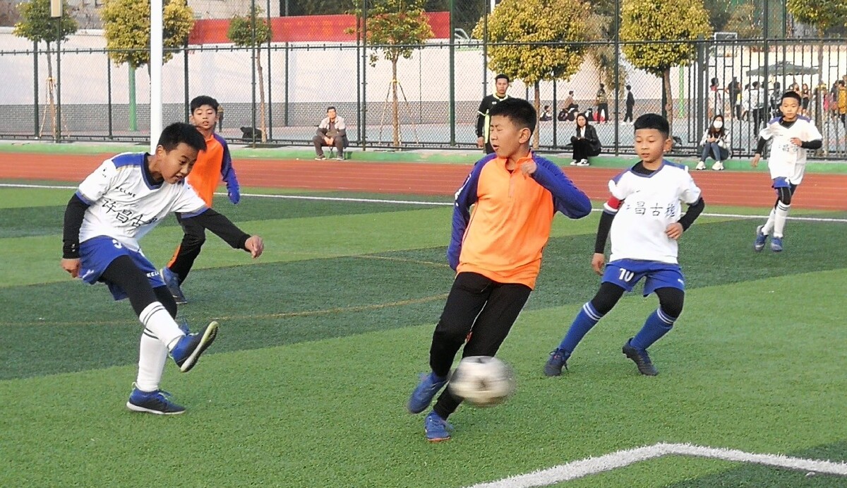 表现出色 表现出色