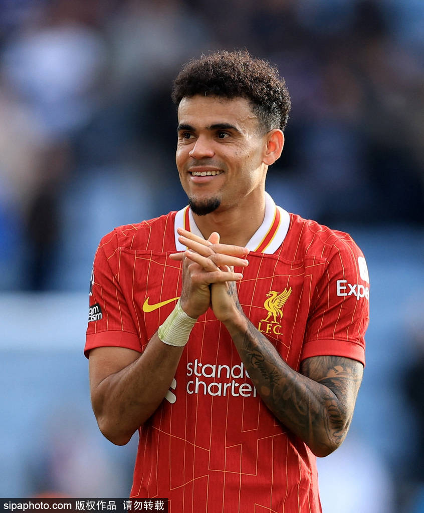 精湛技艺的 精湛技艺的